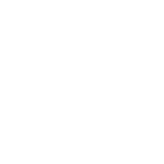 staar Logo